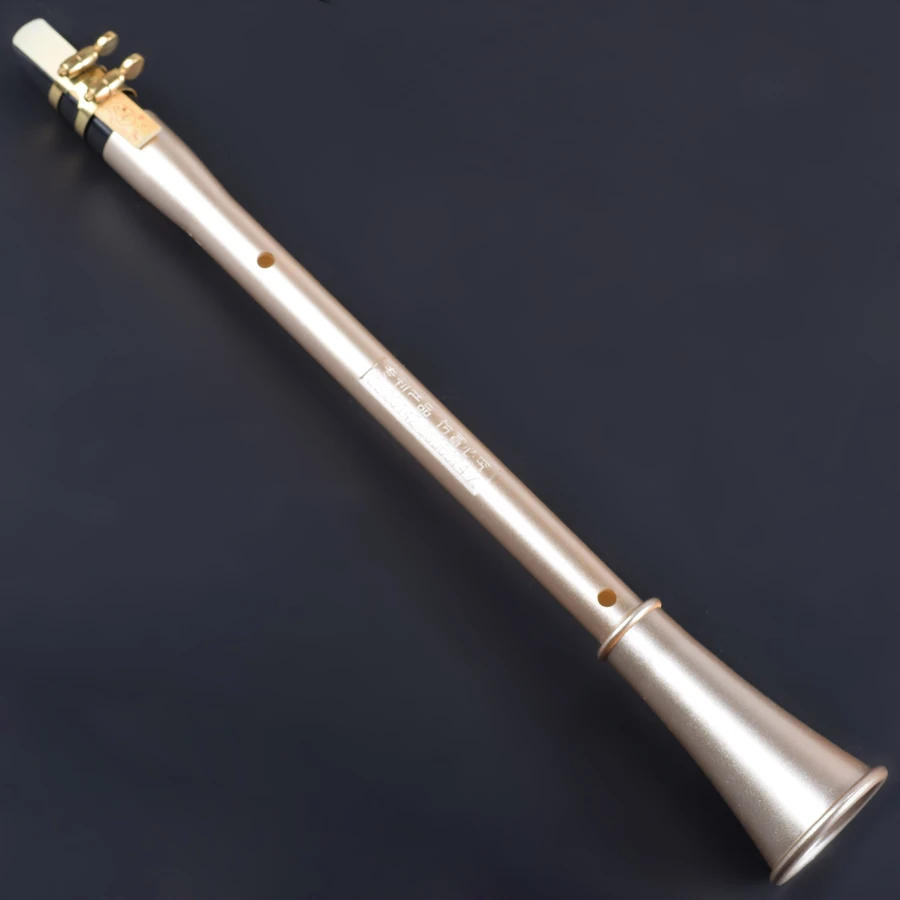 Chinese Mini Clarinet Sax Pocket Clarinet saxophone Smart Wind Musical Instruments Beginners With Reeds Bb Eb C D E F Key