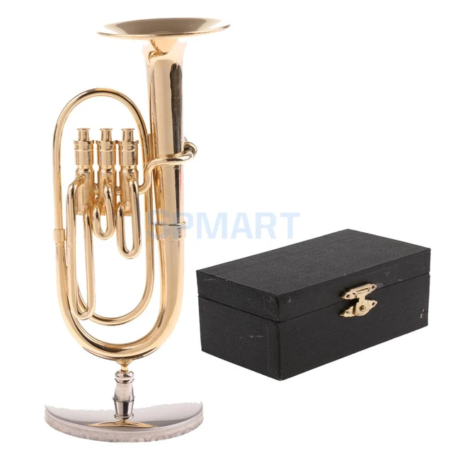 El tuba 2025