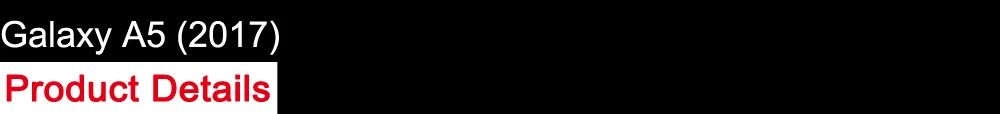 A5 