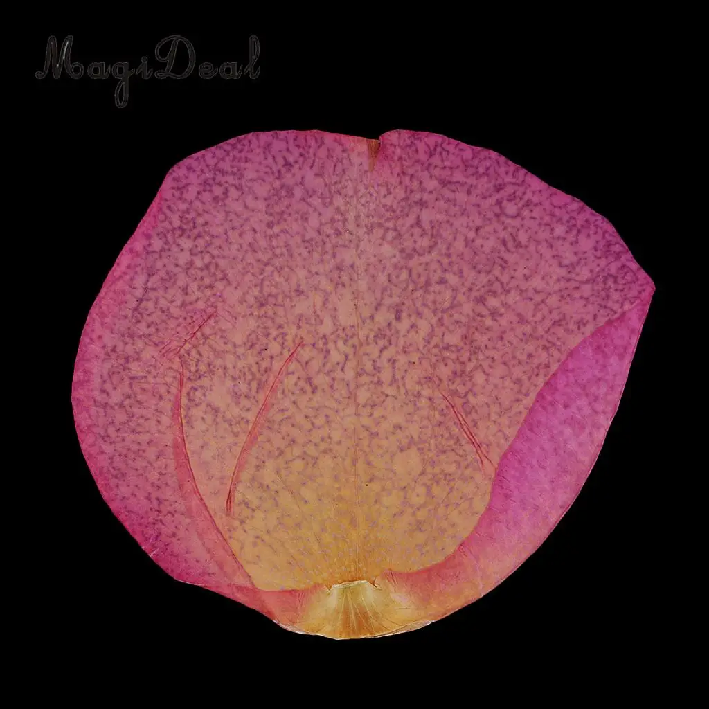 12 Pieces Pink Natural Real Dried Rose Flower Petals for DIY Wedding Christmas Card Making Phone Case Decoration