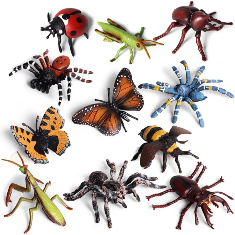 

Action&Toy Figure Insect Animal World Handmade Simulation Model Collectible Doll Collection For Kid Children Gift F5