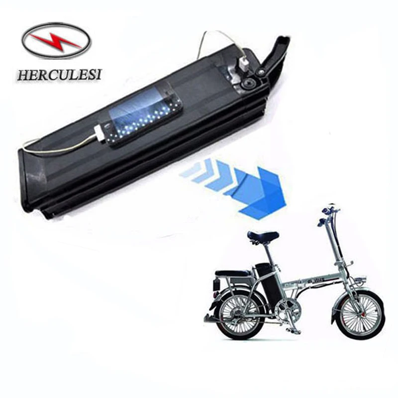 24 Volt 250W Electric Bike Battery 