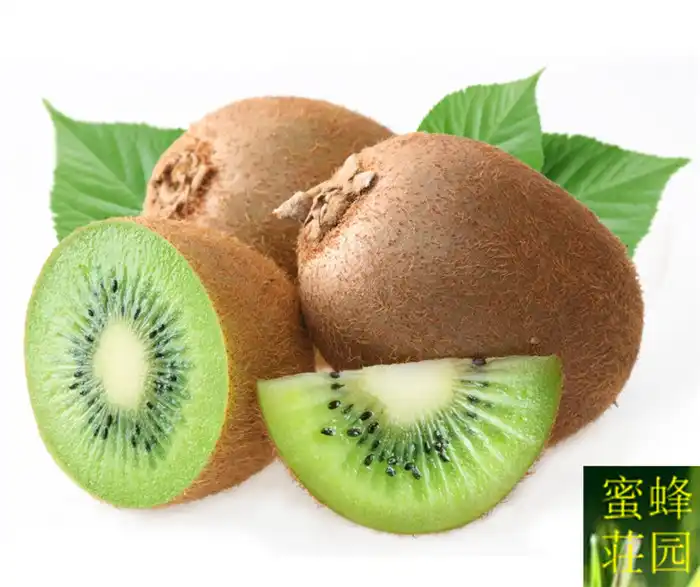 Kiwi Bonsai Breeding Linolenic Acid Raw Material Fruit Trees About 100pcs Kiwi Bonsai Breeding Linolenic Acid Raw Material Fruit Trees About 100pcs