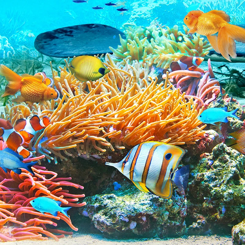 Пользовательские обои фрески 3D Чайка парусный подводный мир дельфин фото