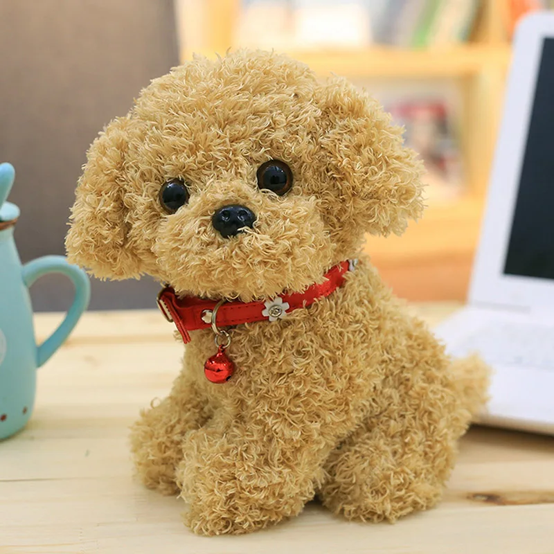 little teddy dog