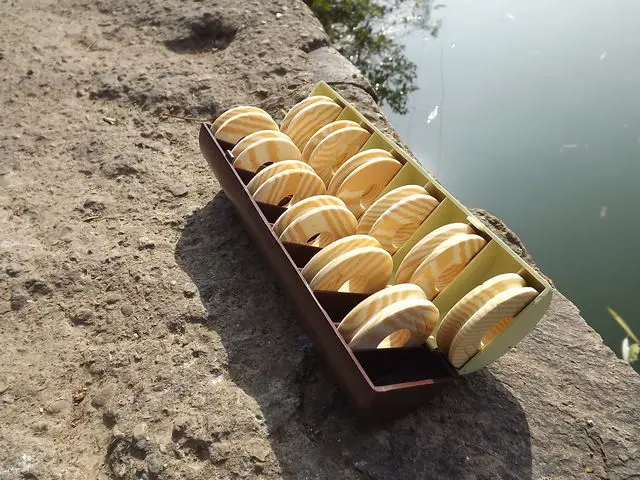 

12 reels EVA Fishing line box Spools Trace Wire Gear Box Utility Line Fishing Tackle Boxes
