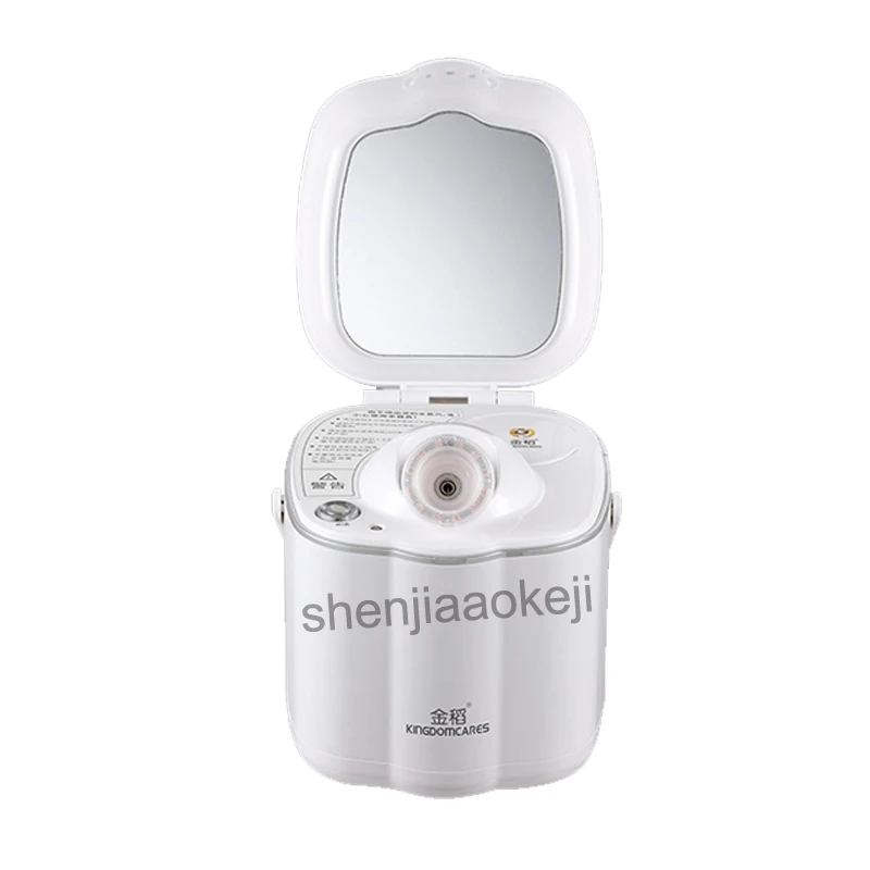 Facial Humidifier Hot Steaming Face Device Nano Ion Spayer Moisturizing
