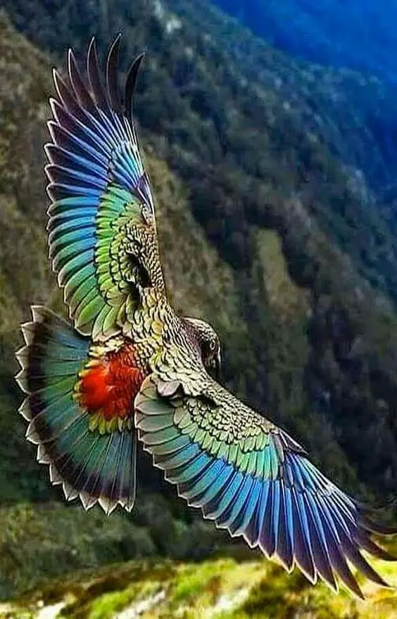 278eda448030ed0113ab01c72c3a7930