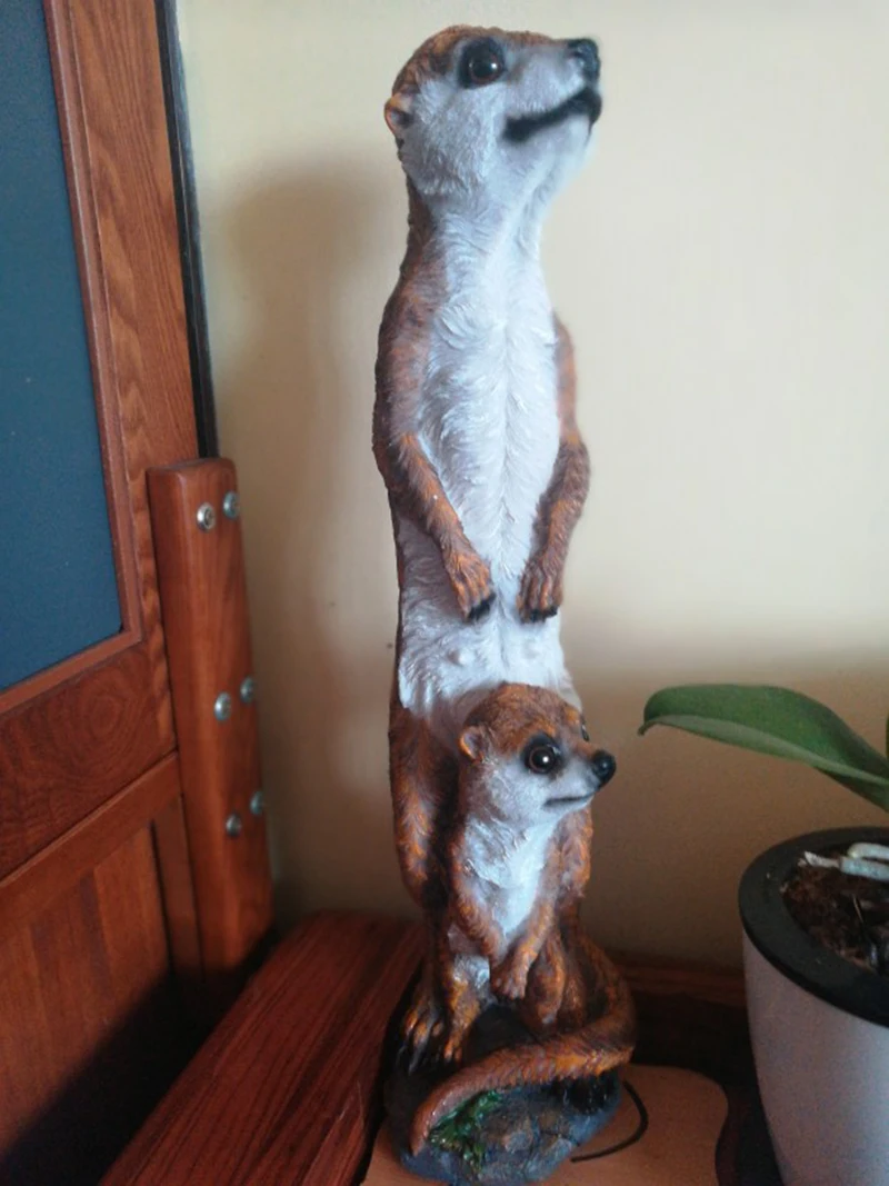 O1CN01DQvIae22cco4Siy43_!!0-rate