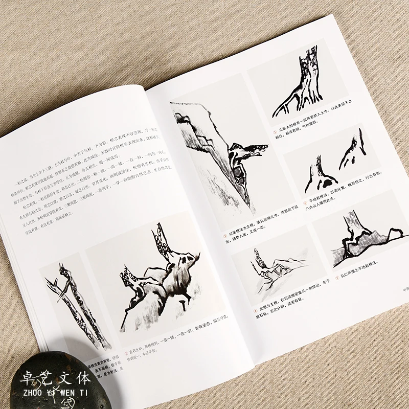 Книга китайской живописи сосна Шу 21 см * 28 см, 106 страниц