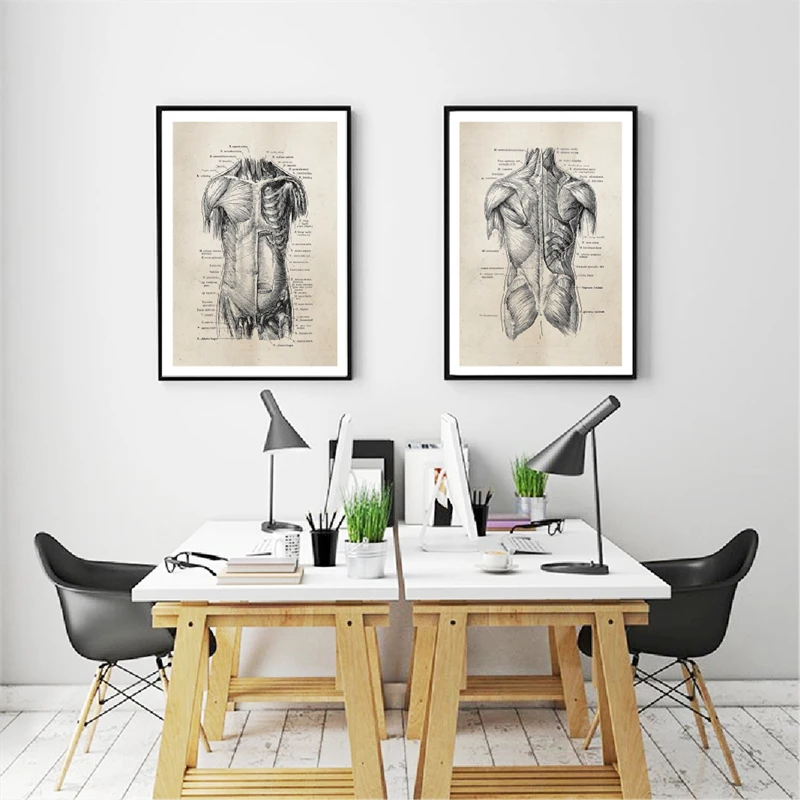 Anatomy Canvas Art Prints