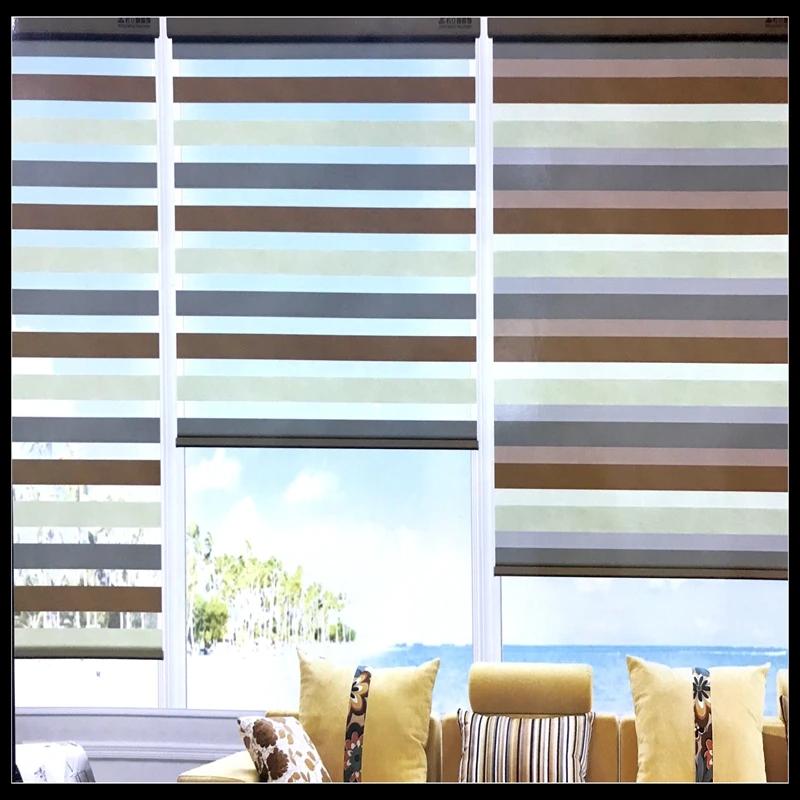 

FREE SHIPPING Popular KIDS ROOM zebra blinds double-layer roller Zebra blinds and zebra window blinds