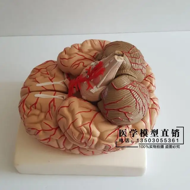 //img.alicdn.com/imgextra/i1/2674272596/TB2OpxGipXXXXXSXpXXXXXXXXXX_!!2674272596.jpg
