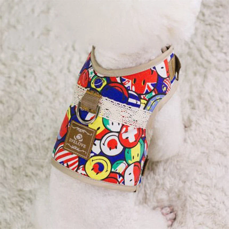 chihuahua dog accessories (7)