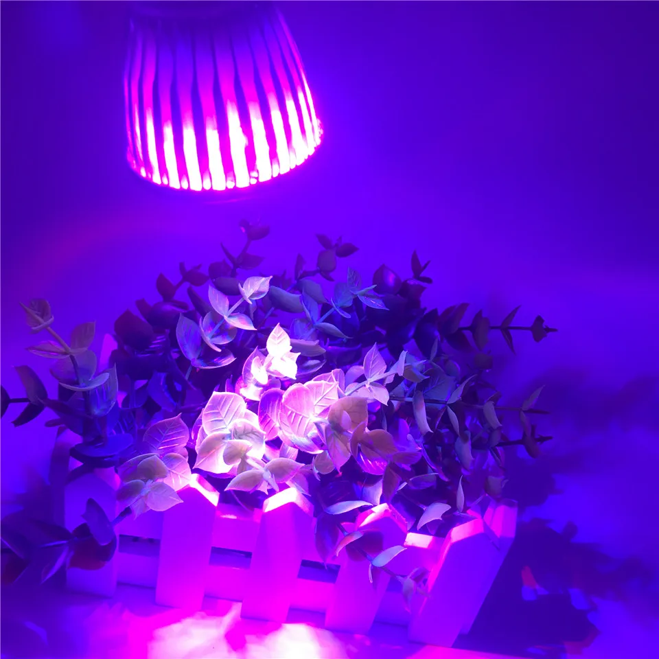 SMD5050 Fitolampy завод 15 Вт LED Grow Light полный спектр Красный Синий Светодиодная лампа для