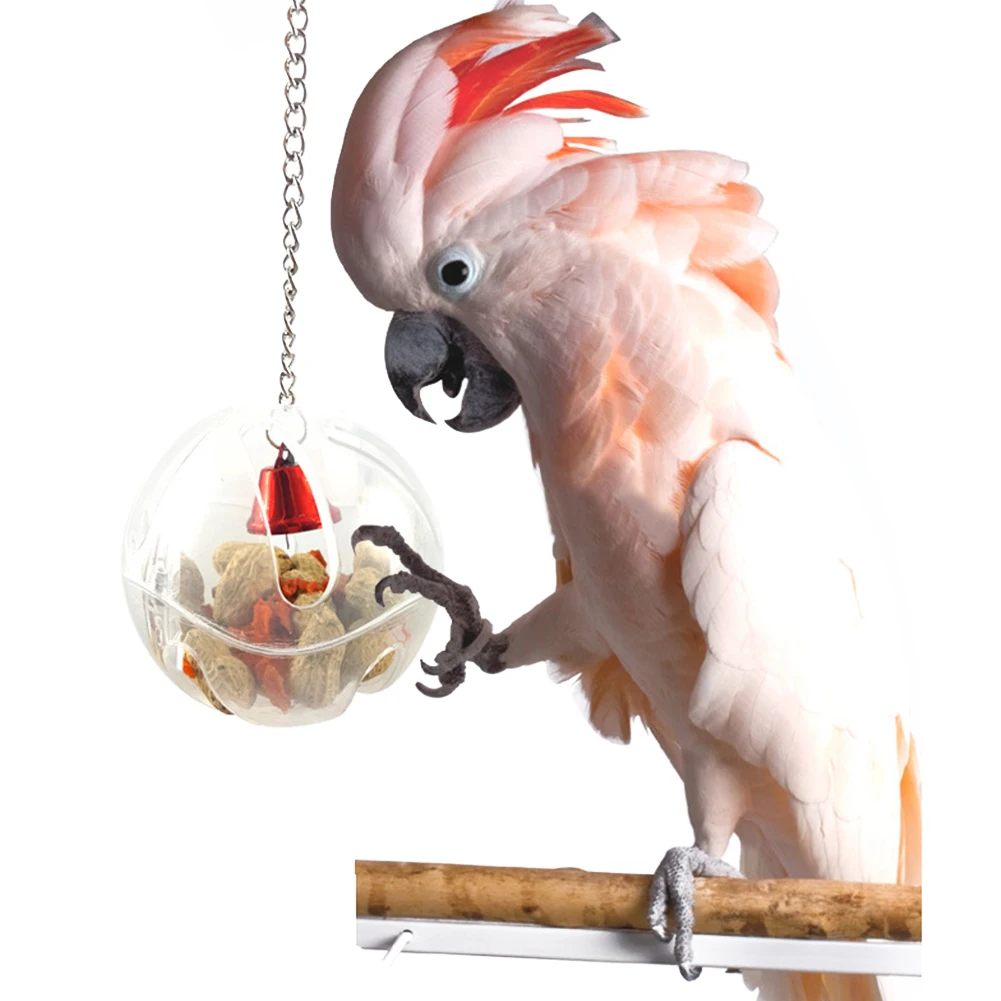 

Interesting Hanging Bell Foraging Intelligence Growth Cage for Birds Parrot