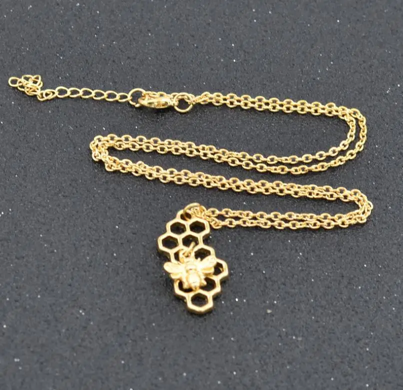 XL025 (7)