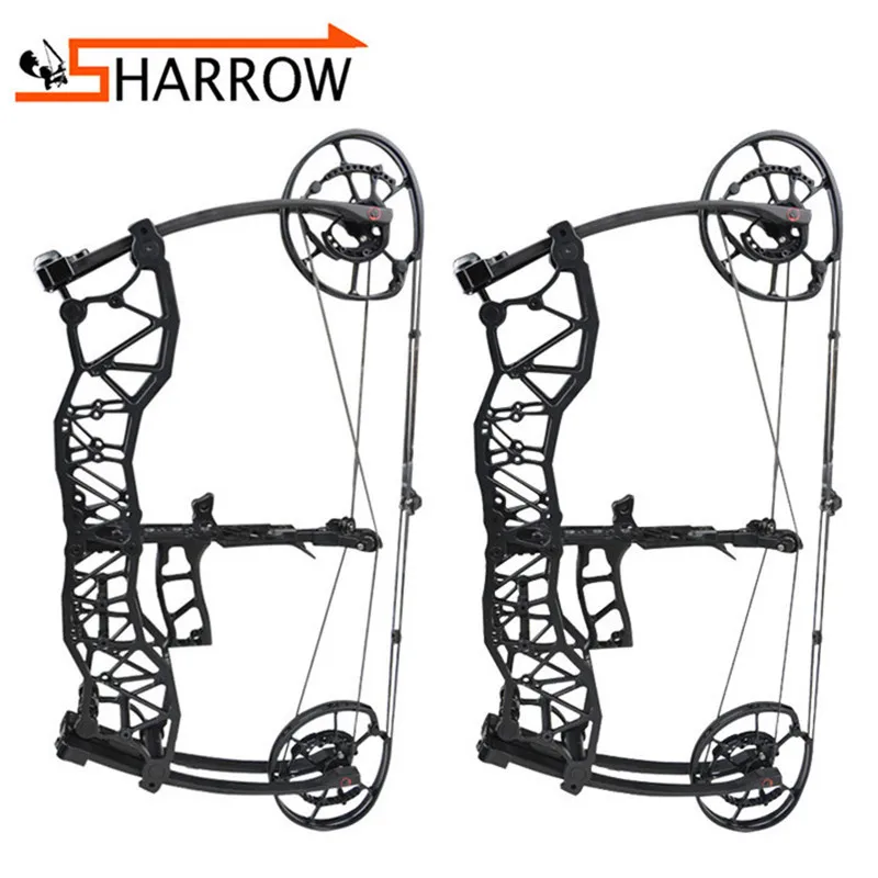 

1set 40-60lbs Arrow Steel Ball Dual-purpose Compound Bow IBO 310/370FPS 80% Labor Saving Ratio For Hunting Shooting