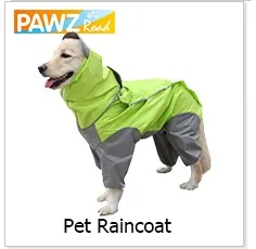 raincoat