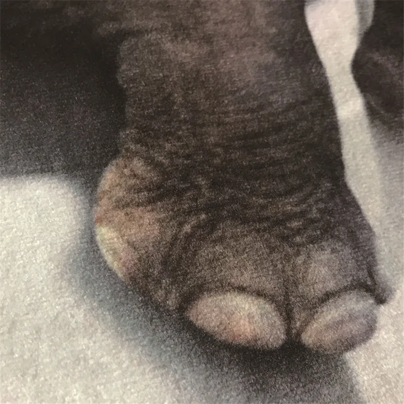 z3
