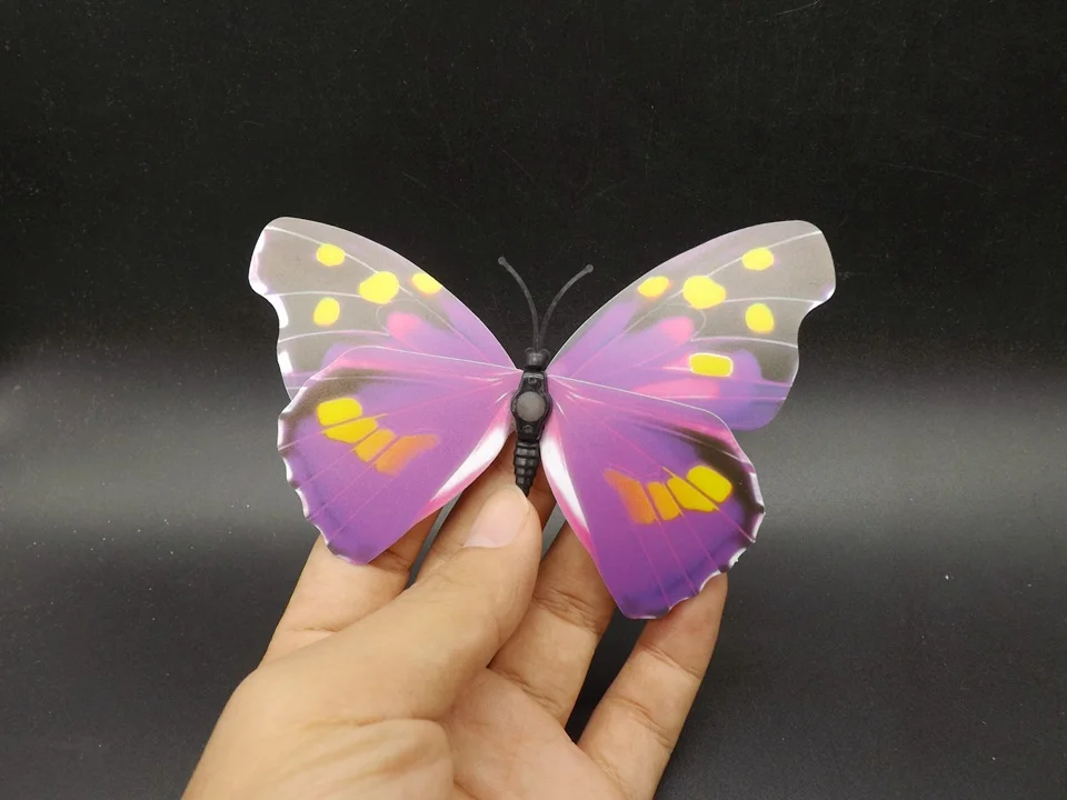 I241-Butterfly (4)