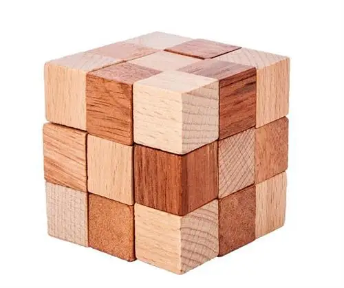 

Challenging IQ Wooden Cube Puzzle Mind Brain Teaser Puzzles Game for Adults Kids