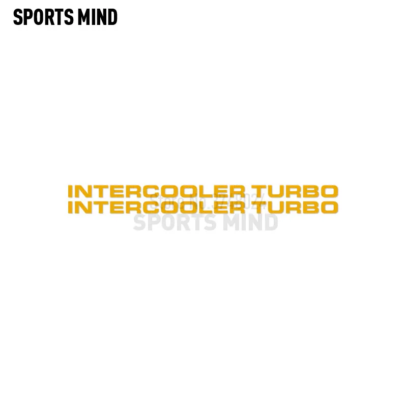 2 X Intercooler Turbo Car Sticker Decal Automobiles Car Styling For Mitsubishi Pajero Shogun Montero Side MK2 V20 Accessories