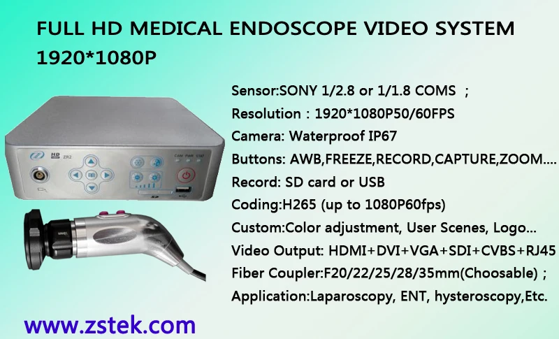 endoscopy system
