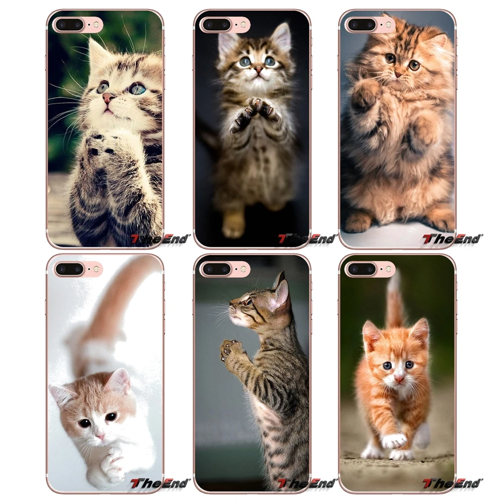 Силиконовый чехол для Huawei P Smart Y6 Pro P8 P9 P10 Nova P20 Lite Mini 2017 SLA-L02 SLA-L22 2i Pretty moly kitта Коты |