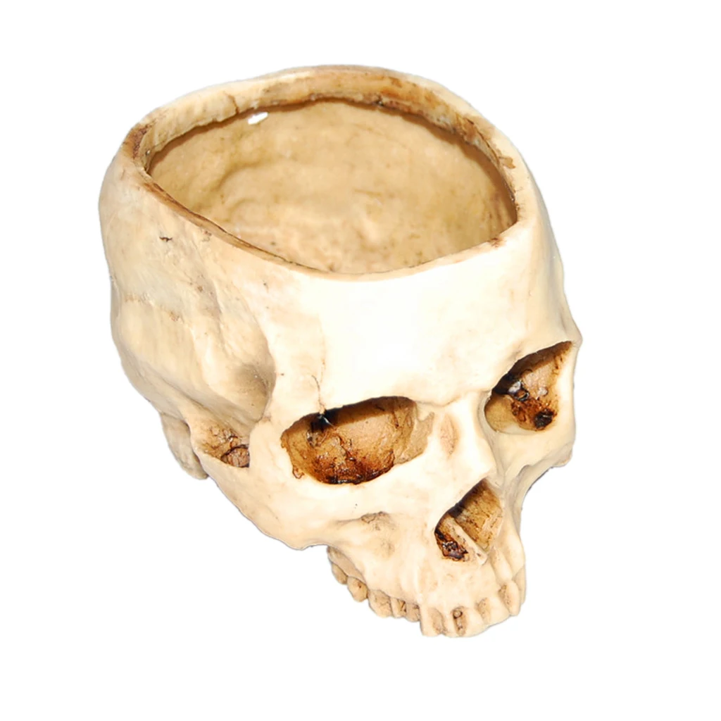 2Pieces Human Skull Head Design Flower Pot Planter Halloween Party Decor Home Bar DIY Ornament Bedroom Decoration