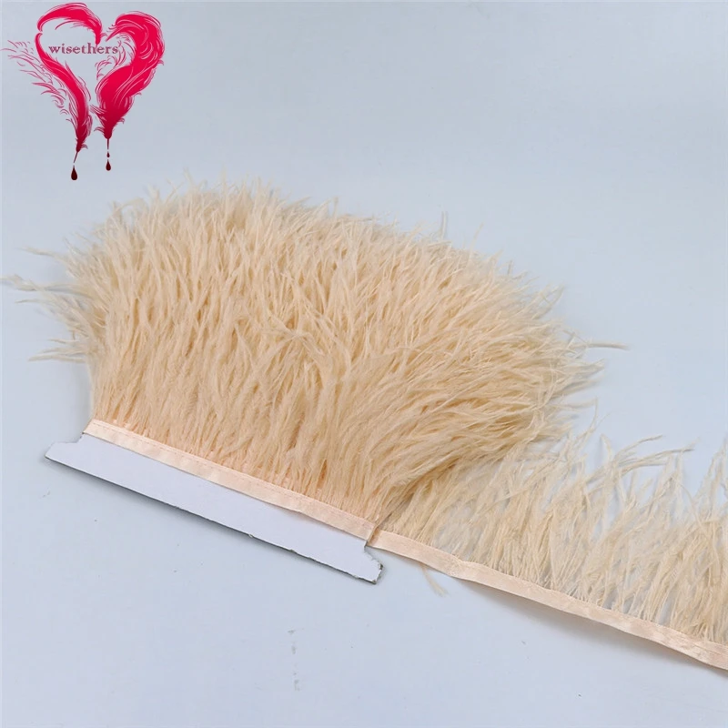 49 ostrich feather fringe 4