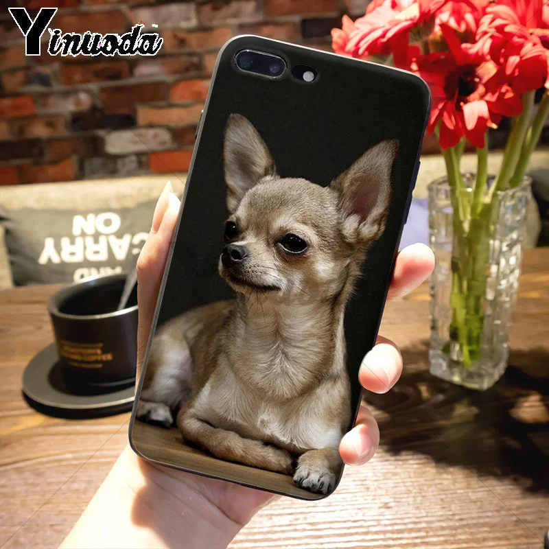 Yinuoda животных собаки чихуахуа Модный чехол из черного сотового телефона для iPhone