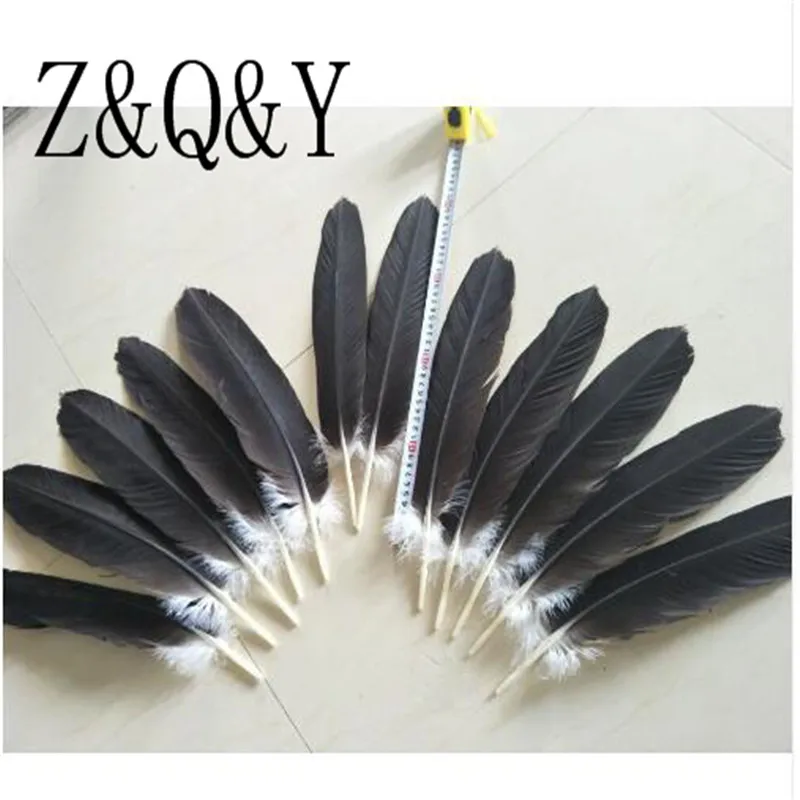 

Z & Q & Y Natural 36 Eagle Hawk feathers 40-45CM (16-18 inches) DIY production fan collection headdress