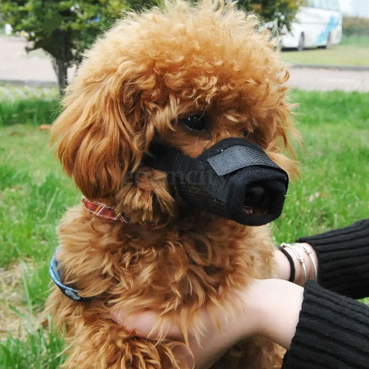 Собака ПЭТ Рот устройство для связывания безопасности регулируемая дышащая мордочка стоп кусающая маска