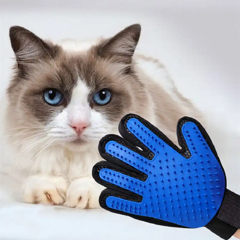 Gants De Toilettage Pour Animaux De Compagnie Chat Brosse
