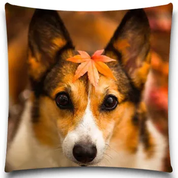 

The leaves fell on the dog's head Decorative Throw Pillows Case Cotton Polyester for Sofa Car Cotton Cushion Cover 5 size