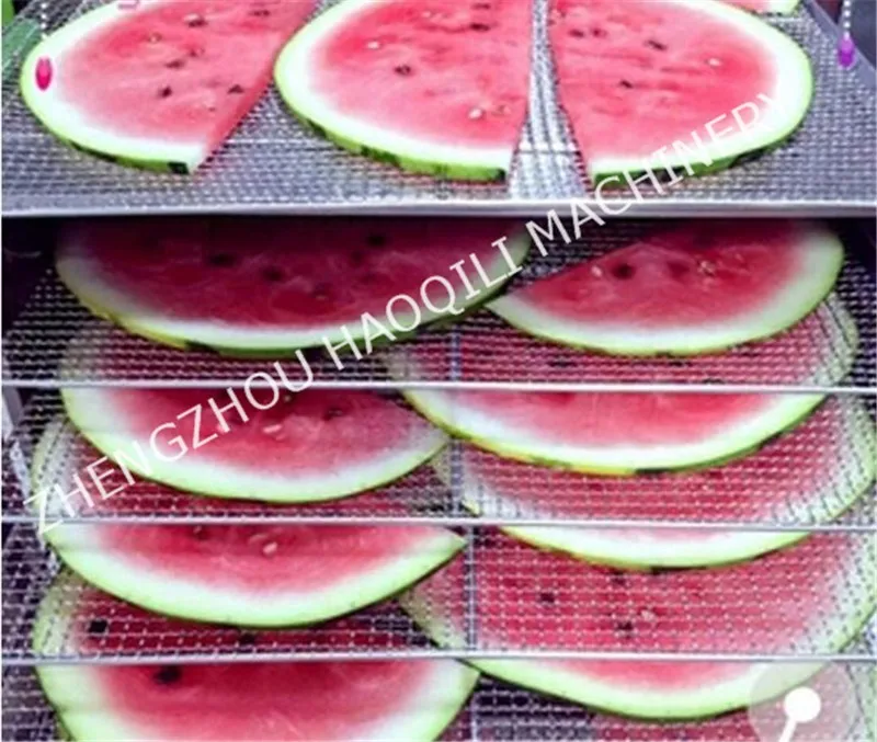 food dryer (23)