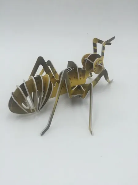 IMG_1091
