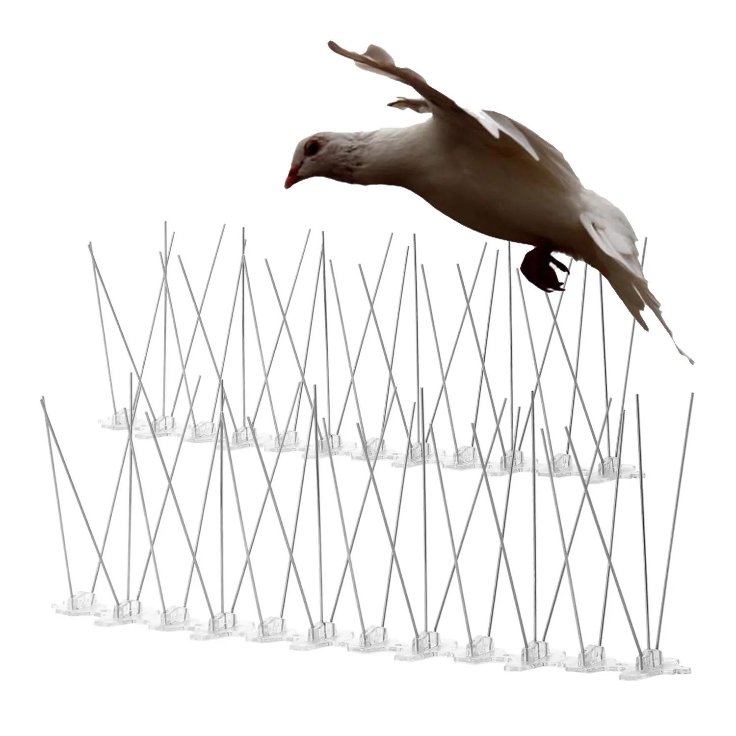 

Stainless Steel Bird trap Spikes for Pigeons and Other Small Birds Covers 10 Feet Lenght safe and permanent birds repellent