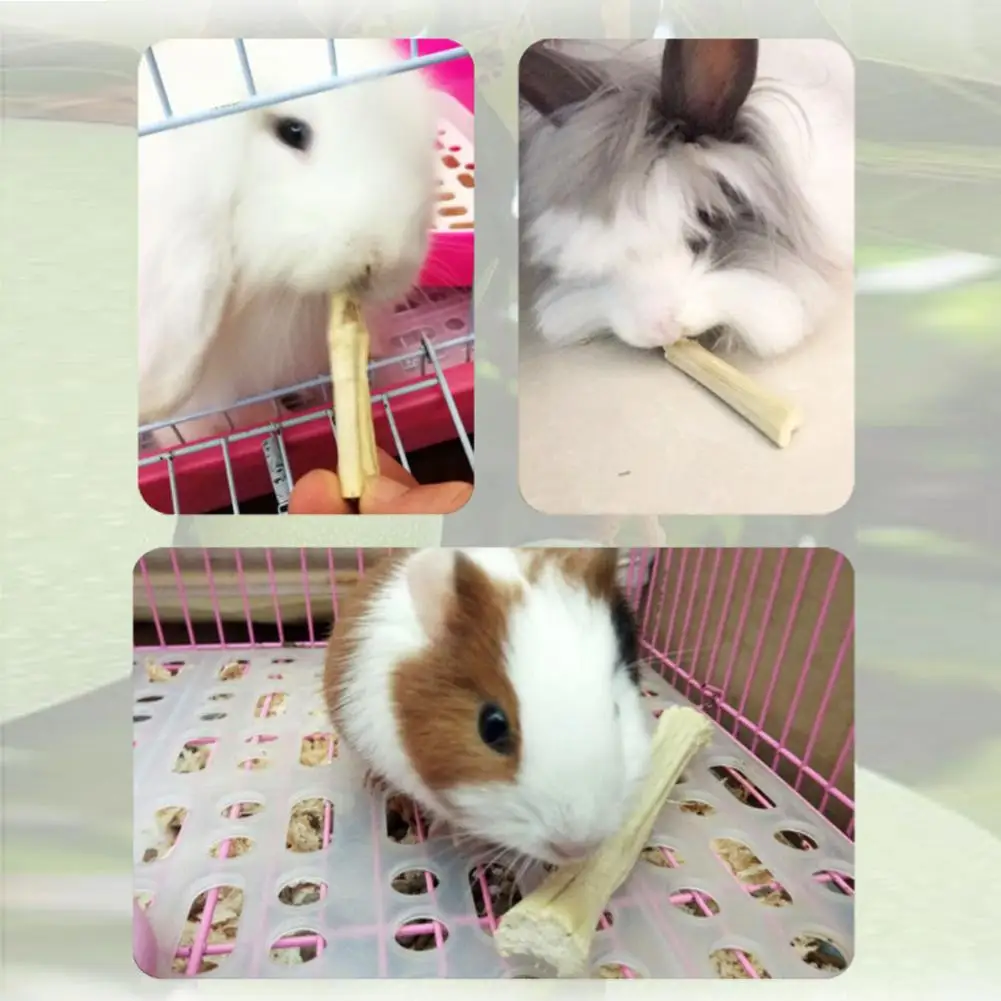 can guinea pigs eat bamboo