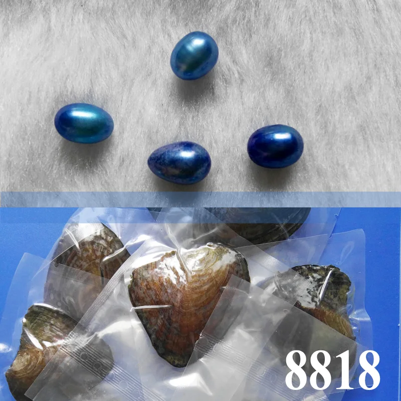 8818 