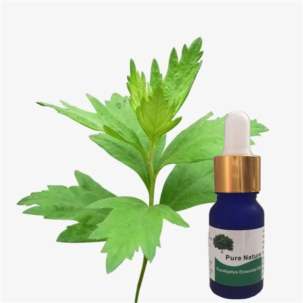 

100% Original eucalyptus essential oil Acne & trauma Scar Repair eucalyptus Essential Oil ,Professional remove scarring