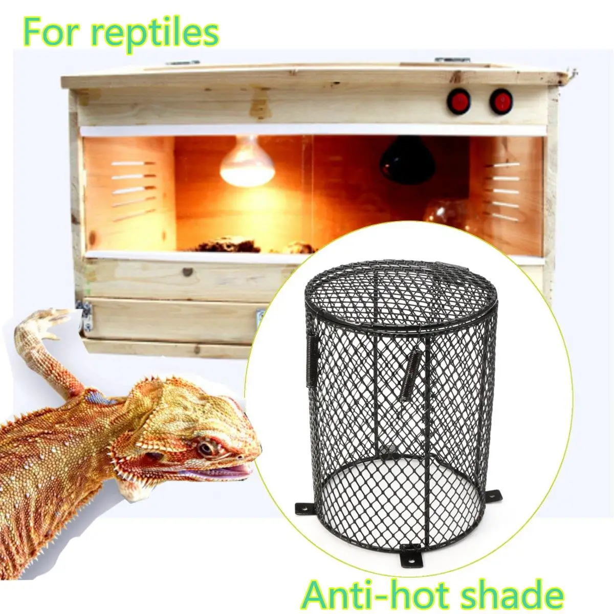 Popular Lizard CageBuy Cheap Lizard Cage lots from China Lizard Cage