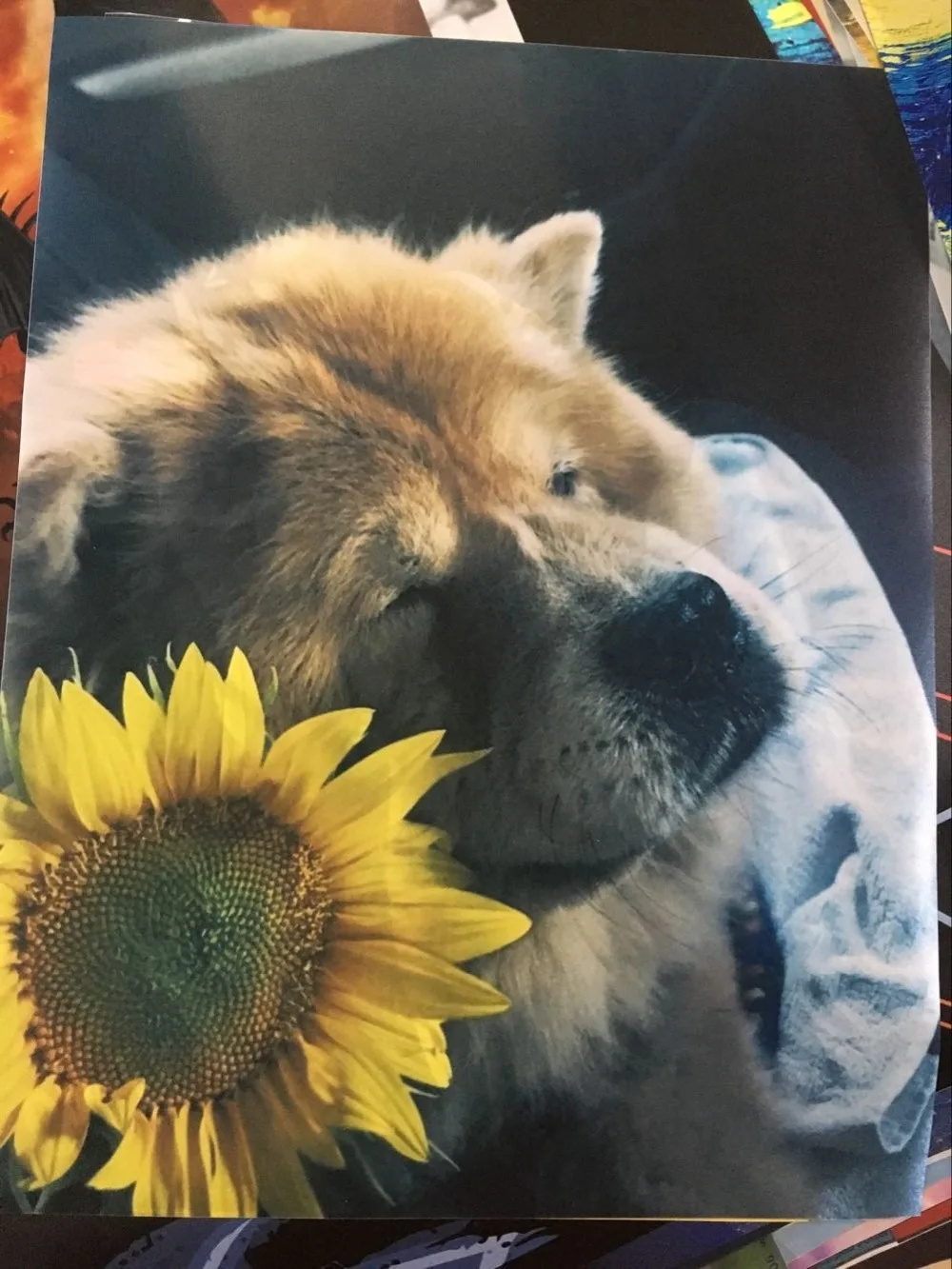 Custom Poster Print My Own Photo 