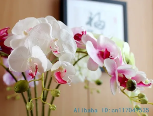 1 стволовых Шелковый Искусственный цветок Мотылек Орхидея Бабочка Орхидея для дом свадебное праздничное украшение 6 видов 12 Цветов F152