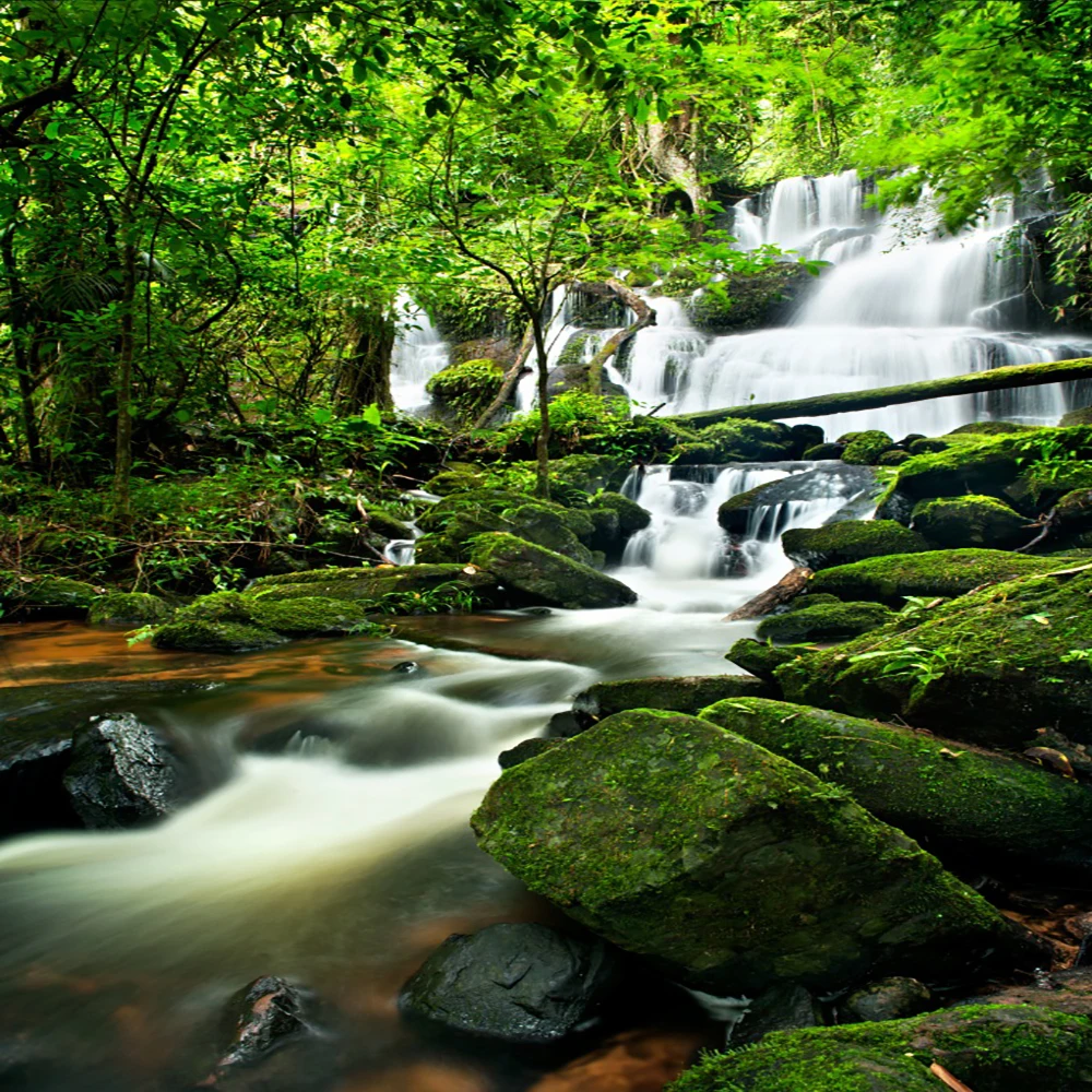 Laeacco весенние джунгли многоступенчатый водопад скалы живописные фотографии фоны виниловые пользовательские камеры фоны для фотостудии