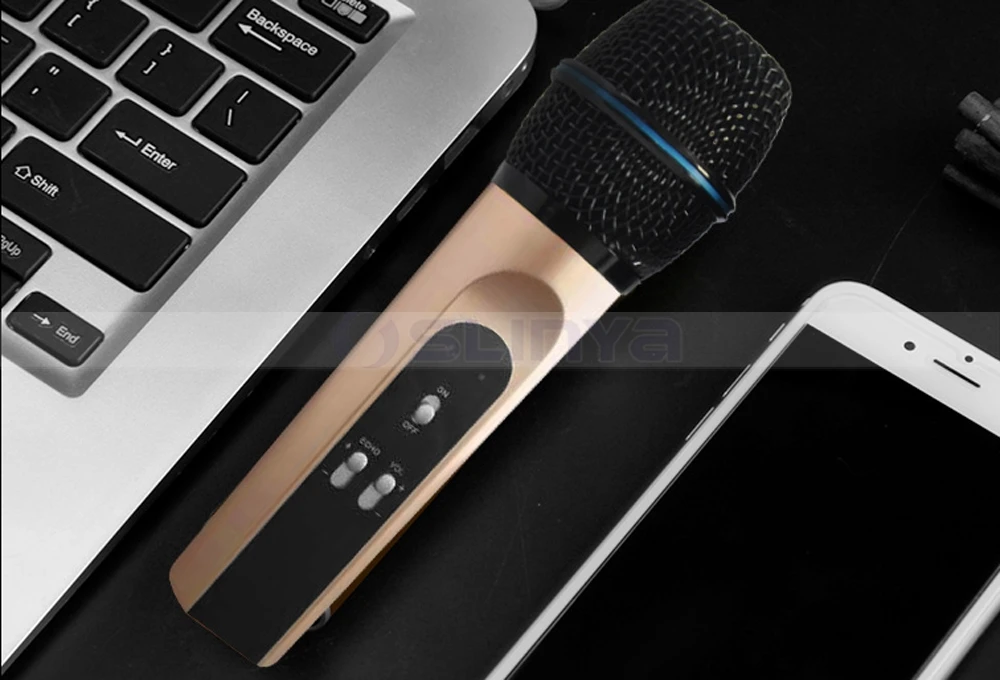 Speaker with wireless microphone 8040170721 (22)
