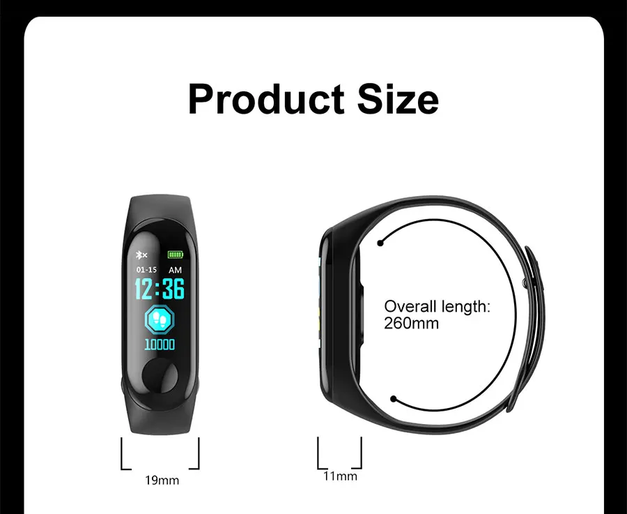 SM101_16