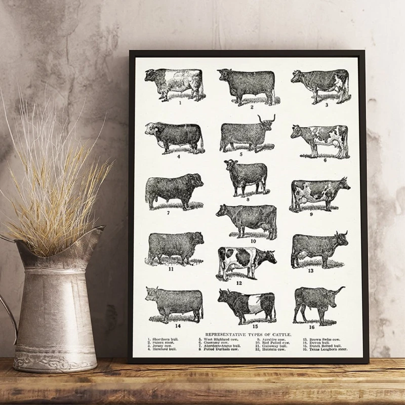 

Breeds of Cow Canvas Poster Farmhouse Wall Art Print Types of Cattle Painting Vintage Picture Dairy Poster Barn Wall Art Decor