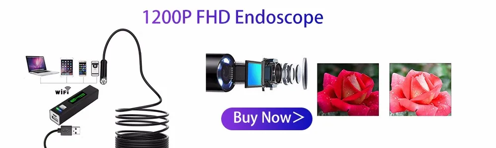 1200P